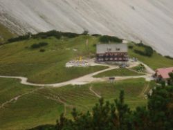 2013-09-08_6Falkenh-Steinfalk (352).JPG